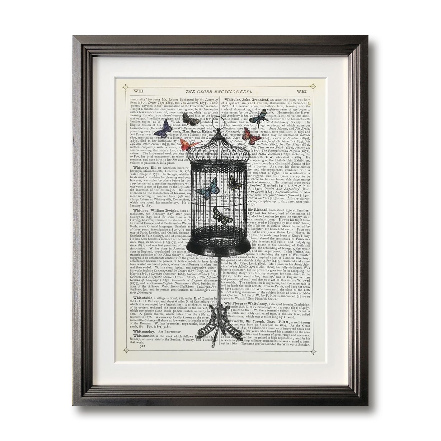 Bird Cage & Butterflies