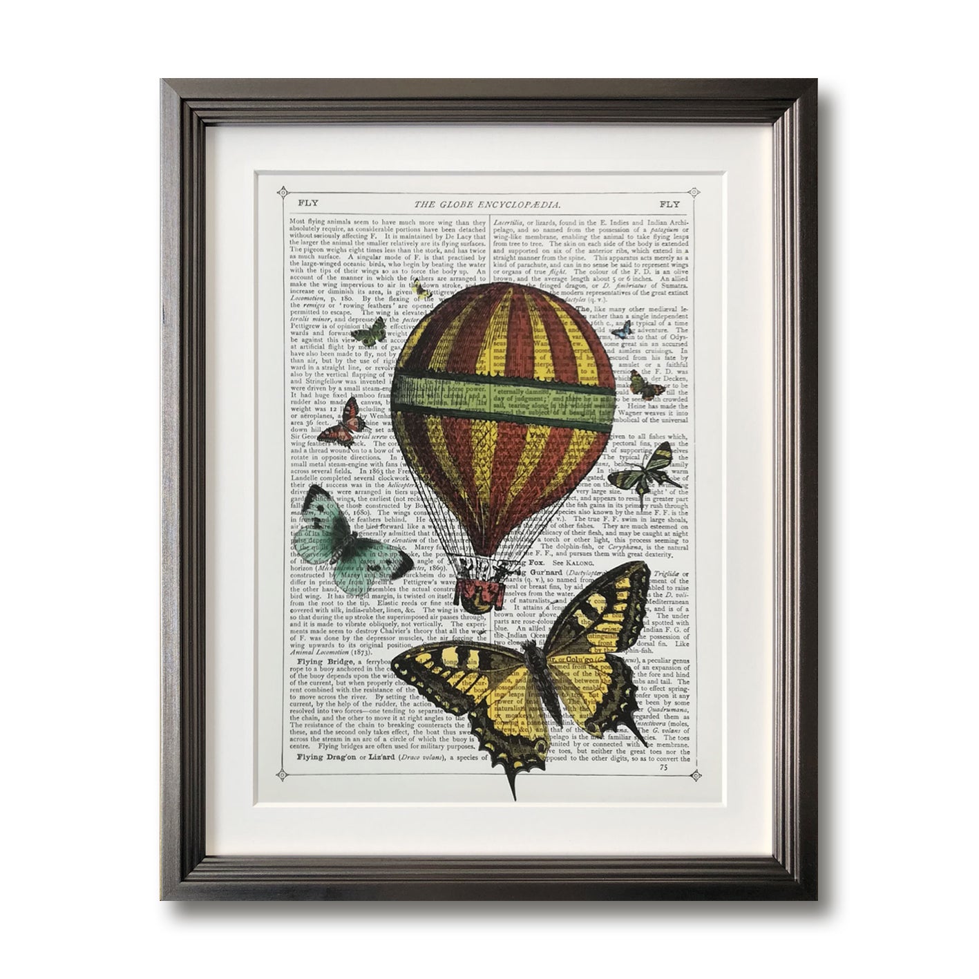 Butterflies & Balloon