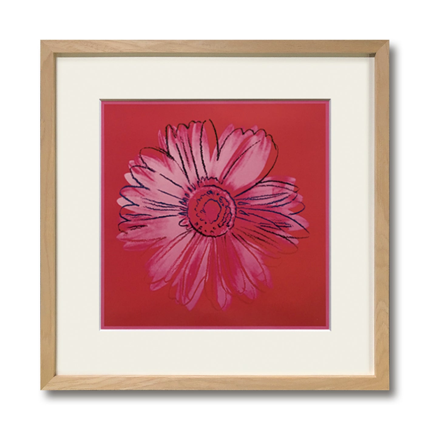 Daisy, c.1982(crimson and pink)