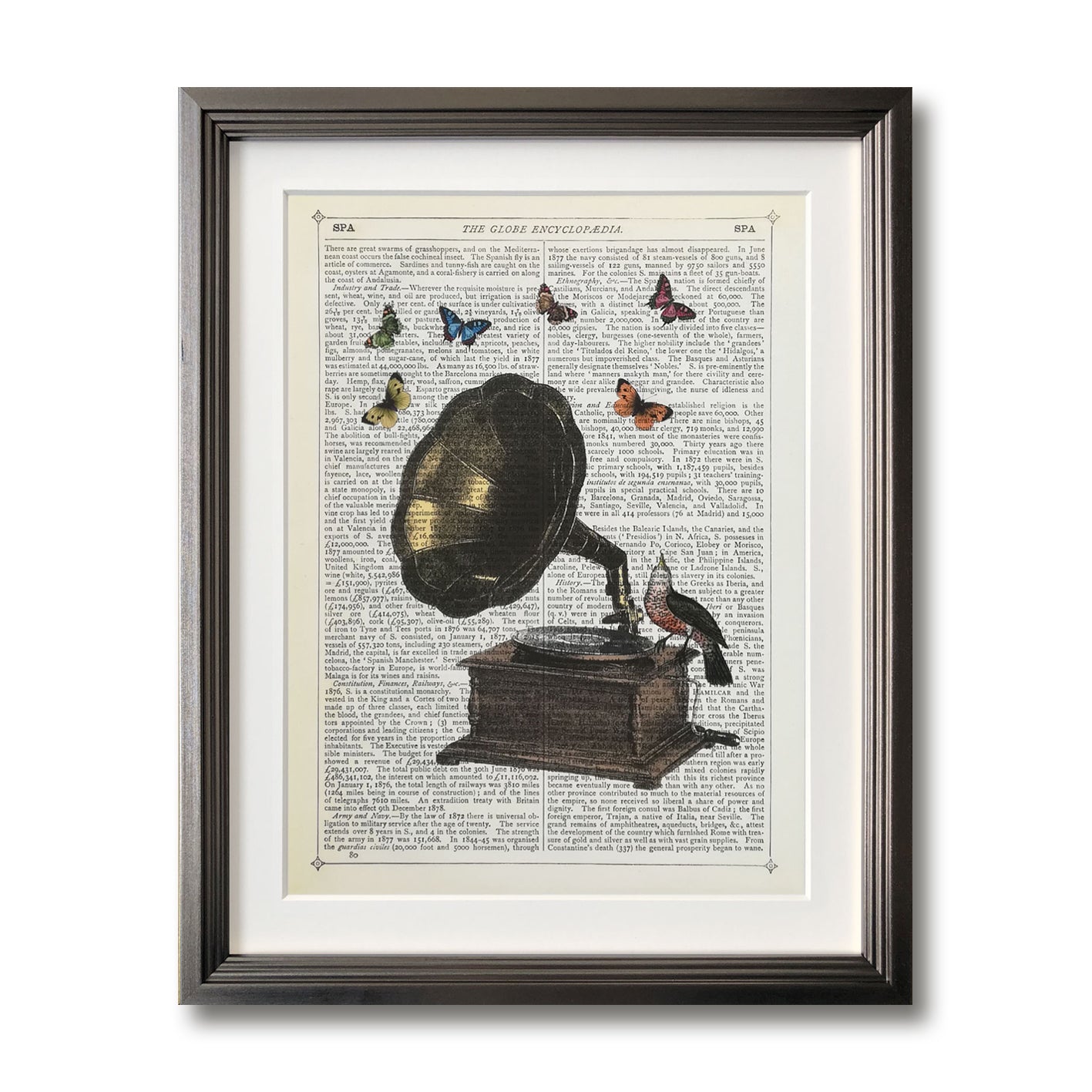 Gramophone, Bird &amp; Butterflies 