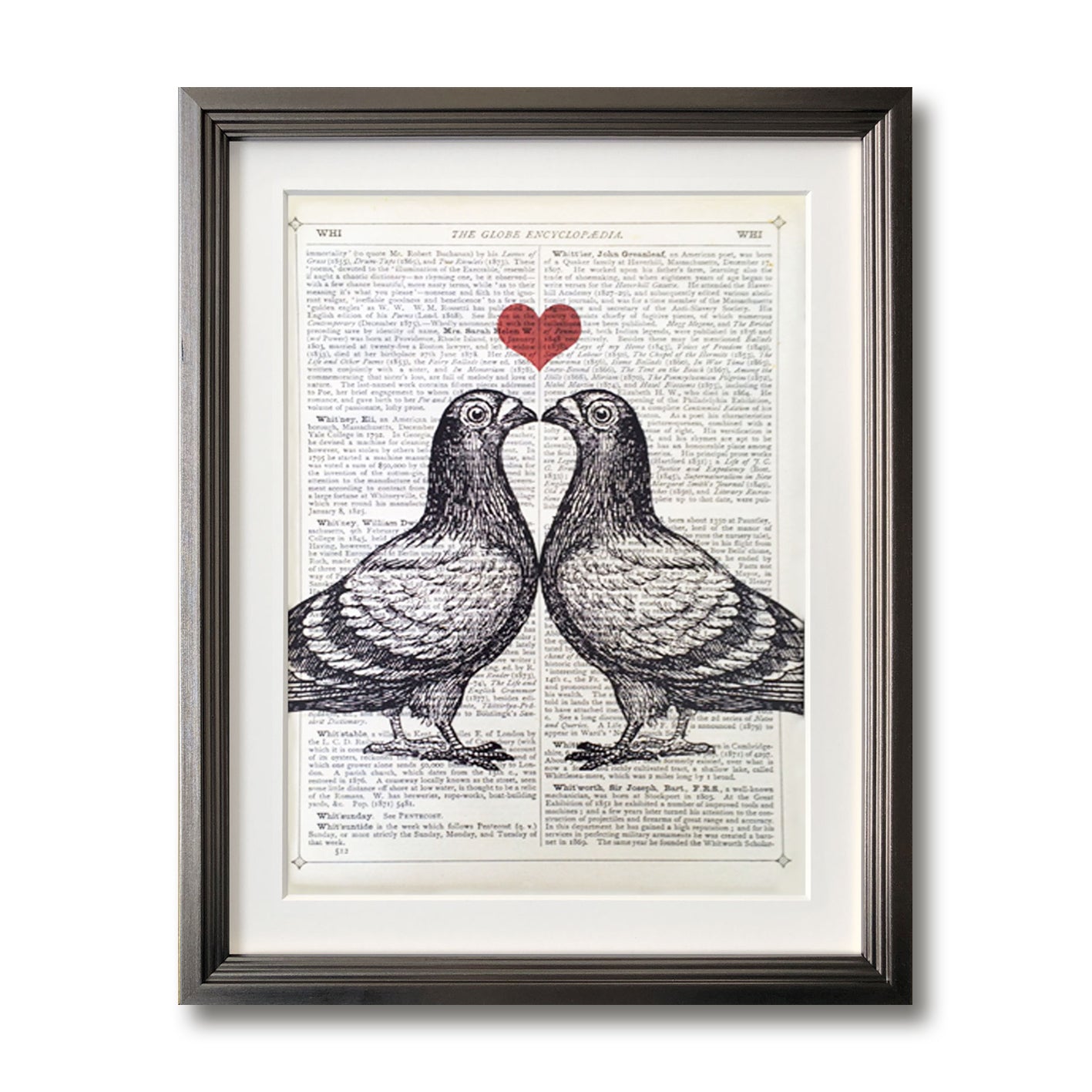 Pigeons in Love 